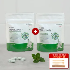 비긴에코 덴탈허브 고체치약 40정+40정