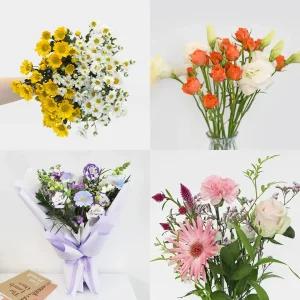 마이플랜트 생화 랜덤 어레인지먼트 사계절 화병 꽃 경매 꽃배달