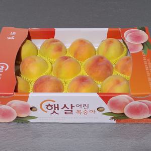 행복농원 의성 햇살어린 복숭아 딱딱이 백도 황도