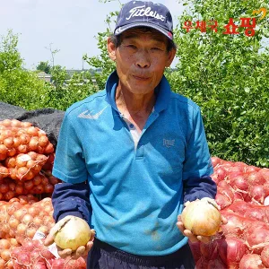 [우체국쇼핑] [양파 10kg] 단단하고 야무진 양파_10kg(중소사이즈/장아찌용)