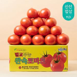 [품질보장] 달콤트리 완숙토마토 5KG (대과)