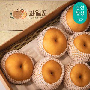 [과일꾼] 안전포장 패키지 명품 나주배 고급 5kg 7-8과