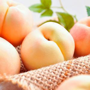 [충주씨샵]하늘작 충주 복숭아 2.5kg(7~11과)
