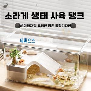 스마일크랩키우기 도둑게 사육장 도둑게키우기 티류으스
