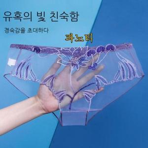 삼각팬티 여자 여성 여름 얇은 망사 헴라인 무드 자수 전 투명하고