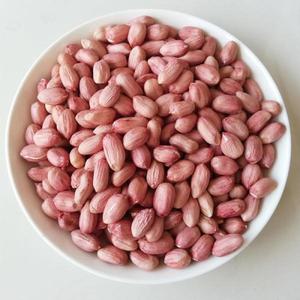 중국산 땅콩 수입산 생땅콩 최신 무농약 대용량 25kg