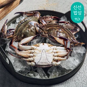 [최종혜택가26,900원]더신선 태안 자연산 통통 활 꽃게 2kg 6-10미/금어기 종료 21일부