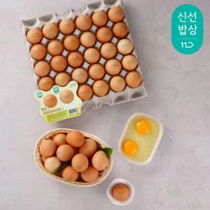 [품질보장] 난각번호1번 방사 유정란 40구