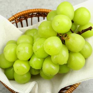영동 샤인머스켓 1kg(2수)