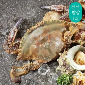 서해안 생물 꽃게 2kg 얼음포장