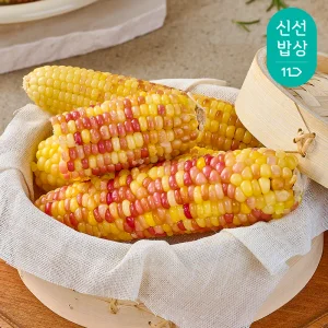 [최종혜택가9,900원]쪄서가는 홍찰옥수수 특대 10입 / 개당 13-16cm
