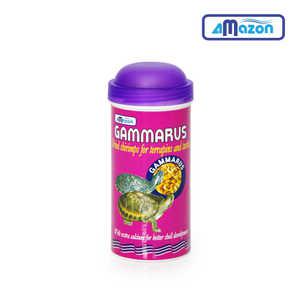 아마존 감마루스 20g 250ml