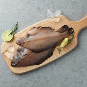 [작심밀도]울진직송 동해 손질 물가자미 1.5kg