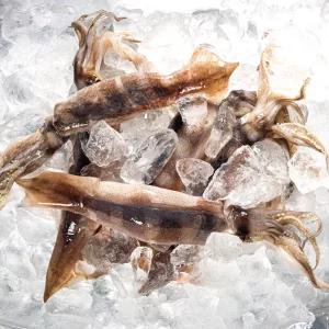 국내산 오징어 서해 활오징어 4-5미 1kg 