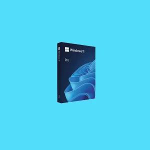 [정품인증점] MS 윈도우11 프로 FPP 처음사용자용 영구제품키 USB / Windows 11 Pro 64bit 처음사용자용 한글