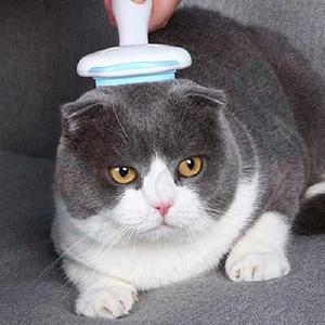 [OFLP1876]고양이 다용도 털관리 브러쉬  블루