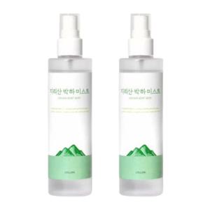 셀비엔 박하 미스트 추천 수분 보습 진정 155ml X2개 BNS