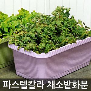 파스텔칼라 채소밭 화분/베란다 텃밭 대형화분 초화