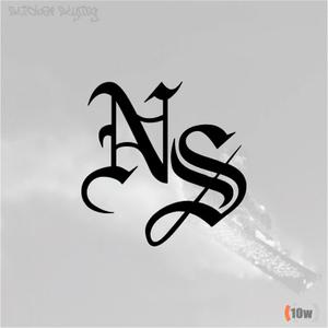 NEVER SUMMER 2 스티커/스노우보드/스키/보드복/독수리/할리/알파인/