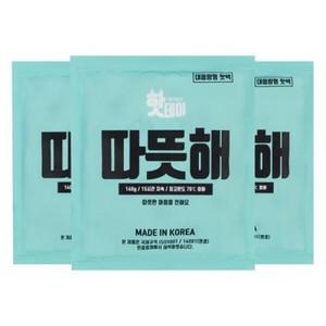 핫데이 핫데이핫팩 대용량형 140g X 30매