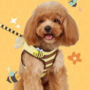강아지하네스 꿀벌 천사날개 소형견 리드줄 세트