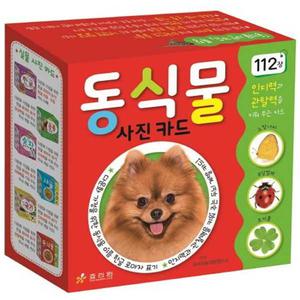 [효리원] 동식물 사진카드  112장