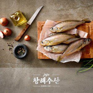 제주어가 참조기 특대 20마리 (1마리당 120g이상)