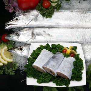 [초신선제주-1day] 겨울 대 은갈치 3미, 손질 후 1.08kg 일반포장