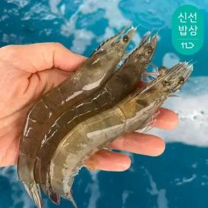 [품질보장] 이순신수산 국내산 흰다리새우 제철 생물 활새우 1kg (37-43미)