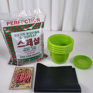 강낭콩키우기 재배세트 4인세트 그린