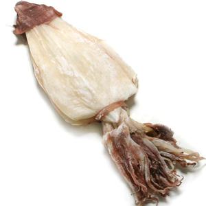한치 3L 500g 한치 중에 가장 큰 크기 건한치 마른한치 화살오징어 오징어 쪽빛누리