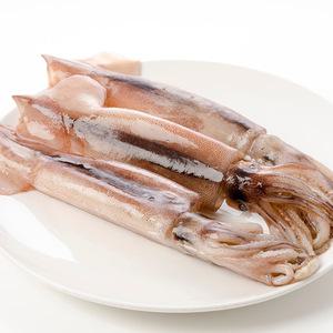 손질 통오징어 특대 1마리당 170-200g내외 10미