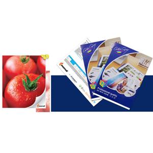 컬러용 a3인쇄용지120g 선명하게 복사지 칼라출력 100매