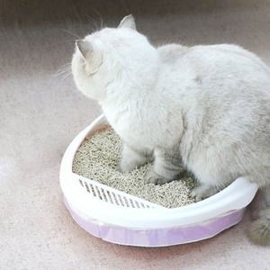 화장실 NEW 고양이배변용품 봉투 3롤 세트 고양이