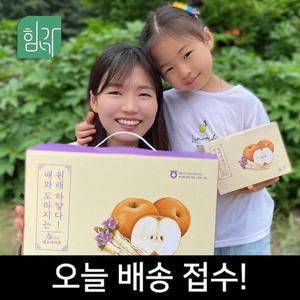 힘가네 도라지배즙 80ml x 40개입 40개