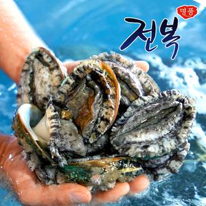 [산지직송] 완도 활전복 대 22미(총 1.6kg 이상) 전복세트 완도 전복 선물