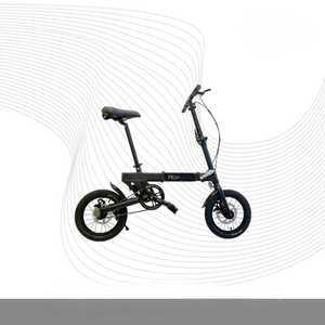 랑케레이시 G660S 접이식 전기자전거 48V13.4A 스포크휠500W 관부가세포함