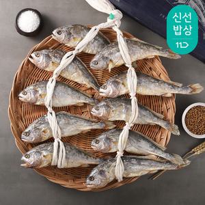 [품질보장] 특대 영광 법성포 부세보리굴비 10마리(28-30cm내외)/부직포포장