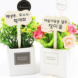 고급 식물이름표 우드 화단 꽃 네임 이름표 10p (WFGILCS)