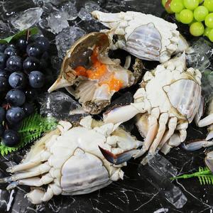 연평도 냉동 몽당꽃게 암꽃게 3kg 연평도 몽당꽃게 연평도꽃게 서해꽃게 국산 냉동꽃