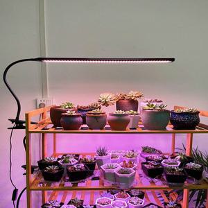 생장등 베란다 태양빛 성장조명 베란다에 75cm 생장도움 식물성장등 led 범용