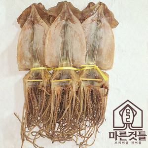 [마른것들] 초왕특대 1축(20마리) 2kg사이즈 프리미엄 마른오징어 건오징어 업소용 건어물캠프