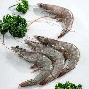 국내산 왕 새우 생새우 흰다리새우 1kg (30-37미) 빙장포장