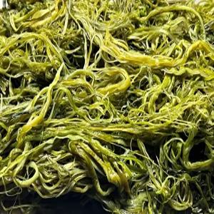 전라도 완도 청적지역 미역줄기 부드러운 간단한반찬 햇 고급 산모 1kg 5kg 10kg