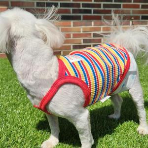 [OFM7L7R9]강아지 스트라이프 슬리브 2XL 1P 여름 나시티