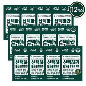 선택하라 징코당풀이케어 12박스(12개월)
