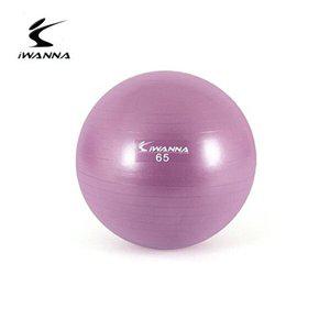 [베프몰]라일락 ZDVORFEZ 아이워너 짐볼 65cm 안티버스트