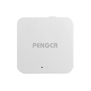 [리퍼] 펭카 스마트 센서 IoT 허브 GW1004, 1개