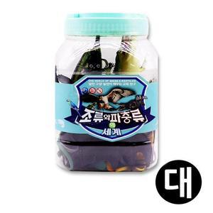 [MEL1N0N8_52GP]키즈인 과학완구 조류와파충류 (대)