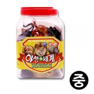 키즈인 공룡의세계 (대)